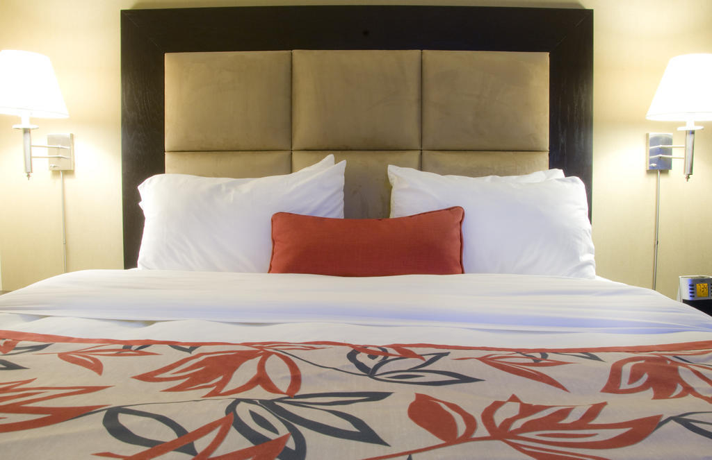 Ramada Plaza Crystal Palace Dieppe Kamer foto